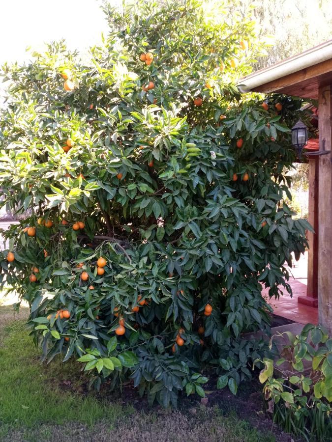 Casa Pando Bed and Breakfast Santa Cruz Εξωτερικό φωτογραφία