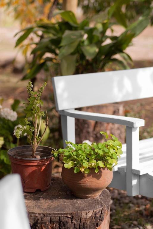 Casa Pando Bed and Breakfast Santa Cruz Εξωτερικό φωτογραφία