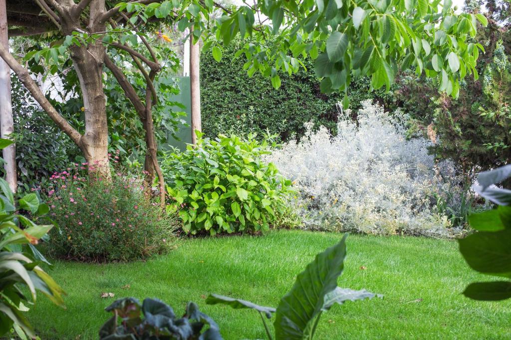 Casa Pando Bed and Breakfast Santa Cruz Δωμάτιο φωτογραφία